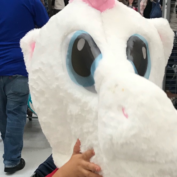 Meet your Posher, Joel - Picture 1 of 1